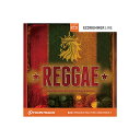 リッチでウォームなサウンドのレゲエドラム＆パーカッション音源！【特徴】『EZX REGGAE』は、リッチでウォームなサウンドが魅力的なレゲエドラム＆パーカッション拡張ドラム音源です。【】『EZX REGGAE』には、ストックホルム（スウェーデン）にある「Rub-a-Dub Studios」で丁寧にレコーディングされた、このセッションのために厳選されたユニークなインストゥルメントが豊富に収録されています。その中には2種類のフルキット、シングルハンドのカスタムドラムキット、多数のスネアとパーカッション、ビンギ、クレイハンドドラムが含まれています。すべてのインストゥルメントはビンテージなギアとマイク、1970s Soundcraft Series II コンソール、そしてカスタムマイキングテクニックを駆使してレコーディングされました。これらの機材とテクニックに、長い時間を経た木の壁が特徴的な「Rub-a-Dub Studios」の有機的なレコーディング環境が合わさったことで、程よい飽和感と、リッチでウォームなサウンドが魅力的なレゲエドラム＆パーカッション音源に仕上がっています。・カスタマイズされたYamaha Stage Custom と1970s Premier drums・2種類のフルキットを収録（タムにはチューニング／ダンピングを用意）・トラディッショナルなパーカッションピースとハンドドラム・幅広いサウンド＆スタイルのエフェクトチェーン・プリセットを用意・レゲエMIDIグルーブ・コレクションを用意JANコード：4511820111877