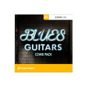 TOONTRACK EZMIX2 PACK - BLUES GUITARS gD[gbN [[[i s]