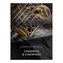 cinesamples CineBrass + CineWinds Complete Bundle シネサンプルズ [メール納品 代引き不可]