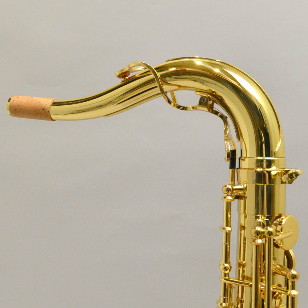 【マラソン期間中 エントリーでさらにP5倍】YANAGISAWA T-WO10/Brass テナーサック...