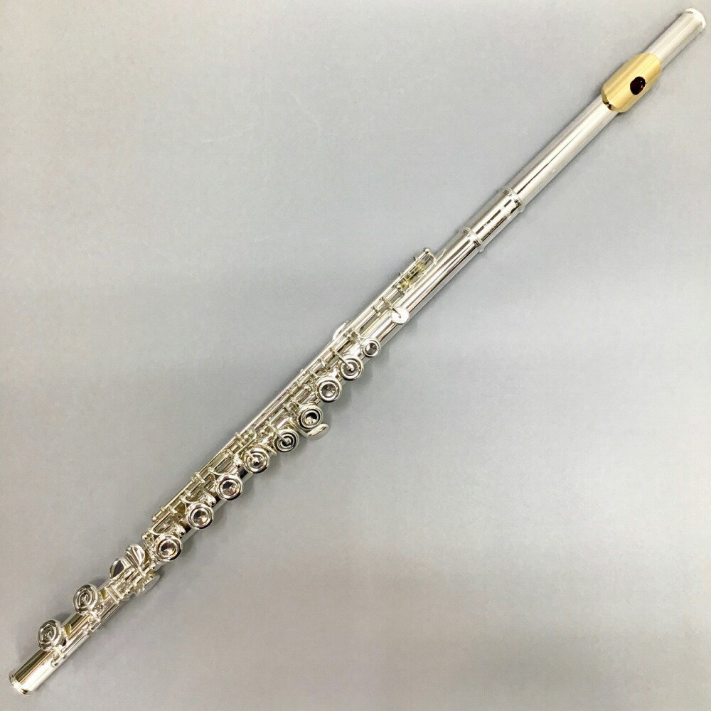 【5年保証】 YAMAHA YFL-412LSE フルート ヤマハ 島村楽器限定モデル【 イオンモール幕張新都心店 】【専任担当者による検品済】