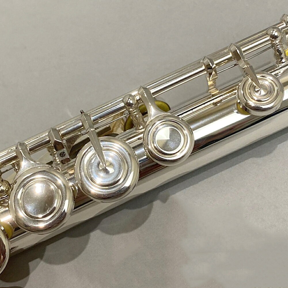 【マラソン期間中 エントリーでさらにP5倍】【5年保証】 YAMAHA YFL-412LSE フルー...