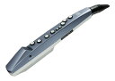 Roland AE-01 Aerophone mini ウインドシンセサイザー ローランド AE01 エアロフォン ミニ【 イオンモール幕張新都心店 】