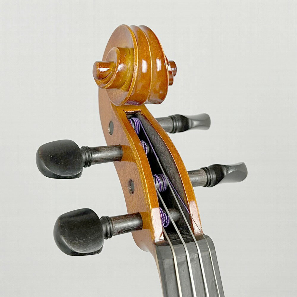 Eastman SVL80���å� 4/4 �Х�����󥻥å� �������ȥޥ� �� ���ݡ���TOKYO-BAYŹ ��