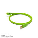 NEO OYAIDE d+USB AtoC classB1.0 Type-A to C USBケーブル 1.0m ネオ オヤイデ 【 イオンモール幕張新都心店 】(2)
