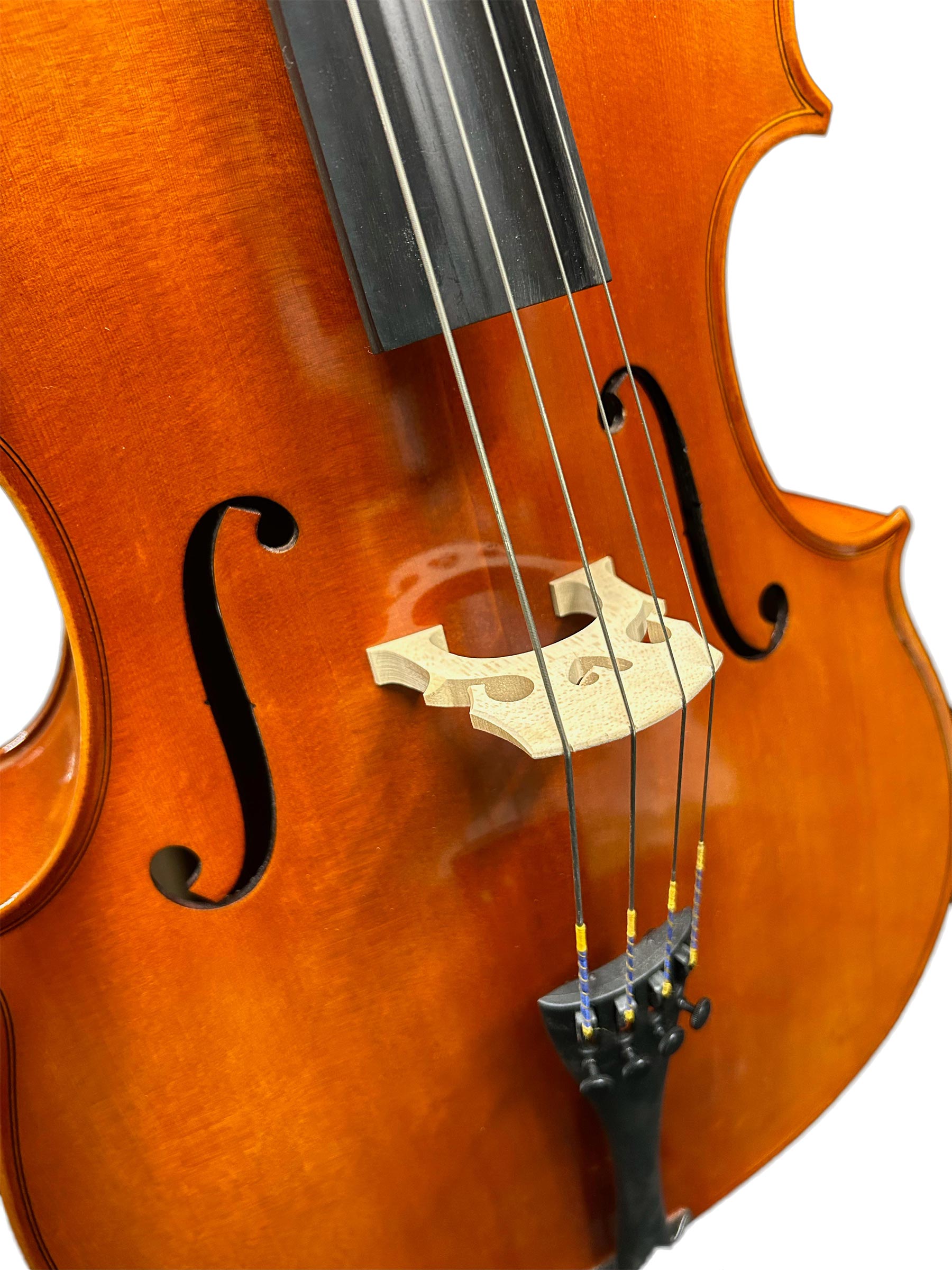 【マラソン期間中 エントリーでさらにP5倍】 Eastman VC100 4/4サイズSet チェロセット イーストマン 【 ららぽーとTOKYO-BAY店 】