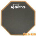 EVANS ARF7GM アプレンティス パッド 7インチ エバンス