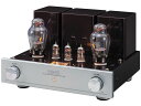 TRIODE TRX-P300SPSVANE WE300B仕様（完成品）