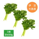 生 の フレッシュ 明日葉 3束 = 450g 伊豆大島産 【 送料1200円】 生鮮 野菜 あしたば 青茎 天ぷら おひたし 日本 国産 国内産 伊豆大島 大島 山菜 おいしい 生のあしたば 農家 直送 うさぎ チンチラ ペット の おやつ にも レア ビタミン ミネラル 豊富