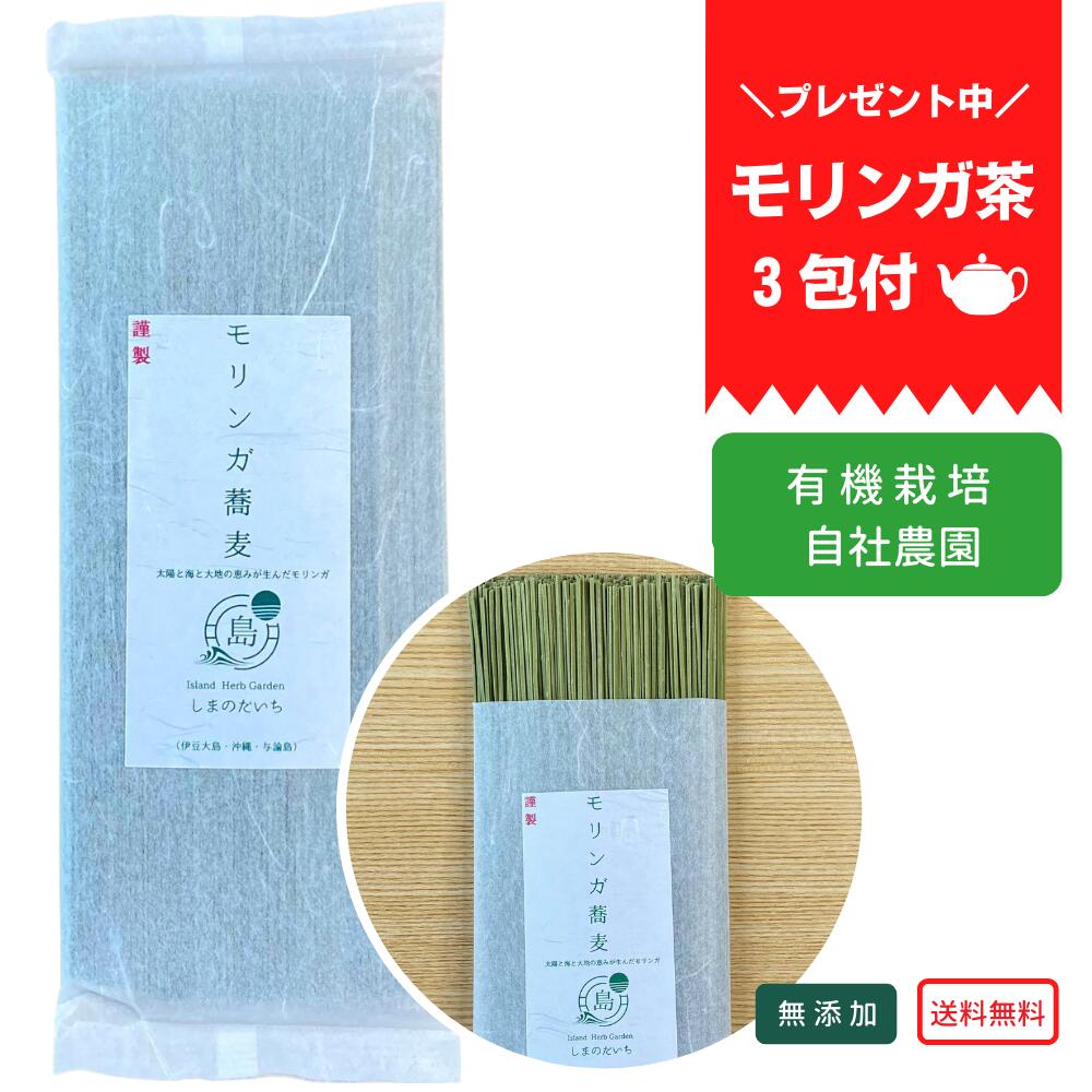 管理栄養士監修 モリンガ蕎麦 2人前 200g x 1袋 乾麺 タイプ モリンガティー 3包 おまけ 送料無料 メール便 ギフト 健康 おいしい モリンガ マルンガイ moringa そば 蕎麦 ルチン クロレラ 無添加 国産 無農薬 モリンガ 使用 賞味期限12ヶ月 アーユルヴェーダ