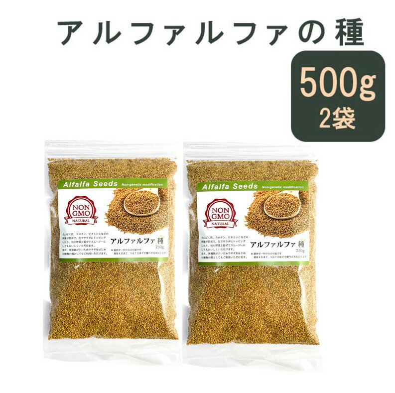 アルファルファ 種 500g 高品質 業務用 オーストラリア産 Alfalfa 野菜種 あるふぁるふぁ seed スプラウト シード 栽培 野菜 草 スーパーフード 健康もやし 発芽野菜 サラダ サンドイッチ 食物…