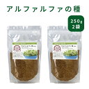 アルファルファ 種 500g 高品質 業務用 オーストラリア産 (Alfalfa 野菜種 あるふぁるふぁ seed スプラウト シード 栽培 野菜)もやし 発芽野菜 サラダ サンドイッチ 野菜の王様 食物繊維 デトックススーパーフード 小分け スルフォラファン 母の日