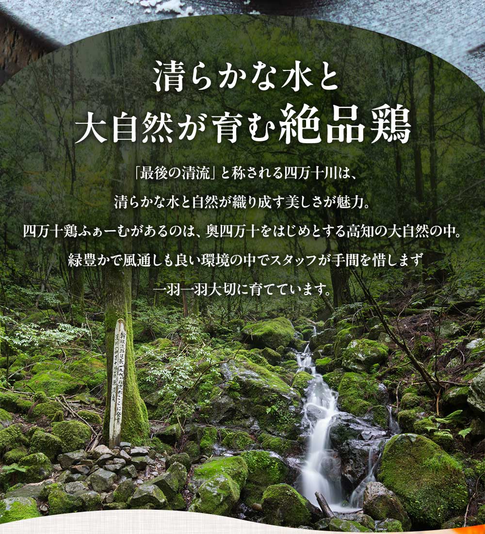牛板筋和え(缶)240g 辣条 牛オニ筋辛味噌和え 拌板筋 味付オニスジ 日本国内加工 即食タイプ 日本産 [冷蔵・冷凍食品]