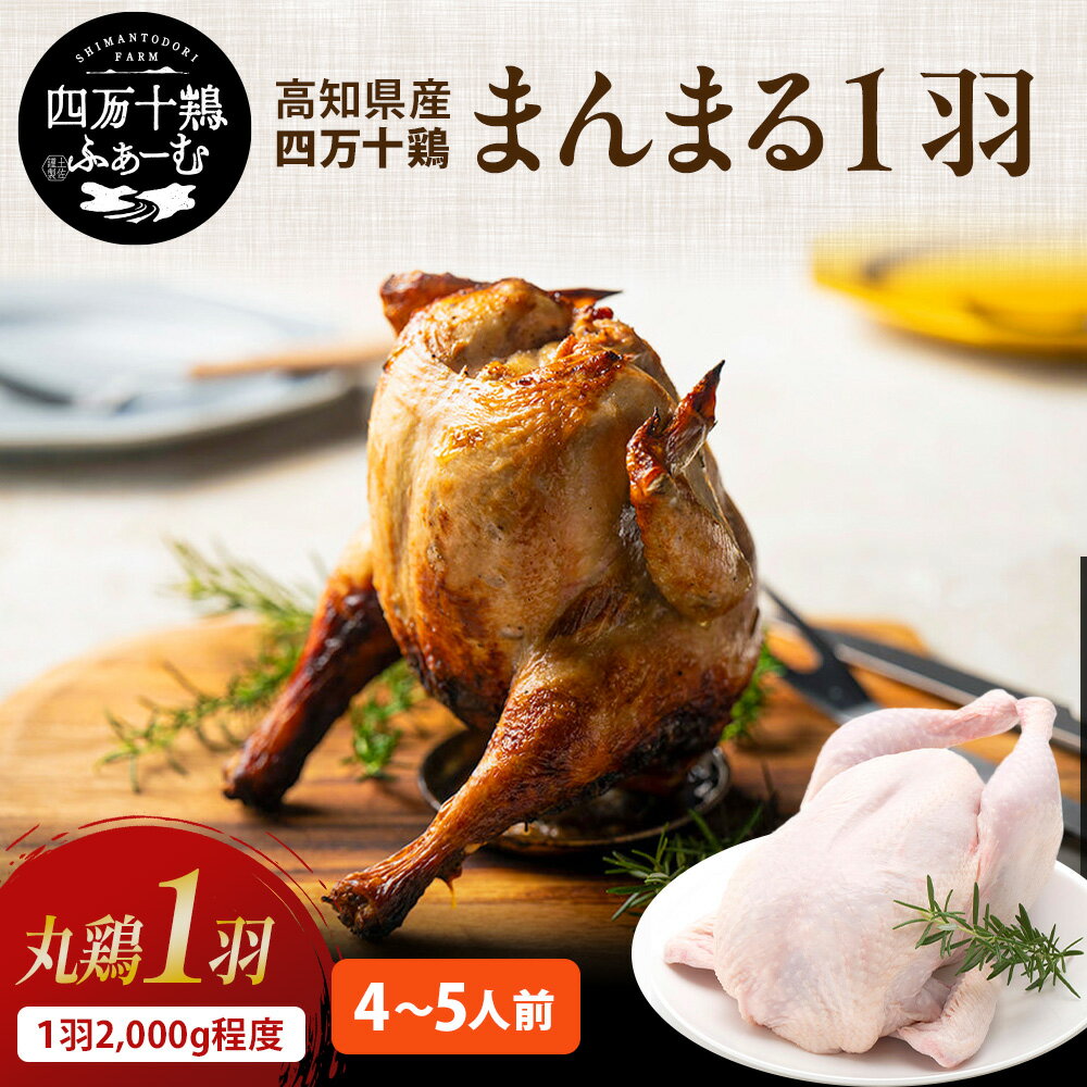 【10%OFFセール】 高知県産 四万十鶏 まんまる1羽 4〜5人前 2000g 冷凍 国産 丸鶏 鶏肉 銘柄鶏 ローストチキン クリスマスチキン クリスマス パーティー 料理 予約 丸ごと 1羽 楽天スーパーセールのサムネイル