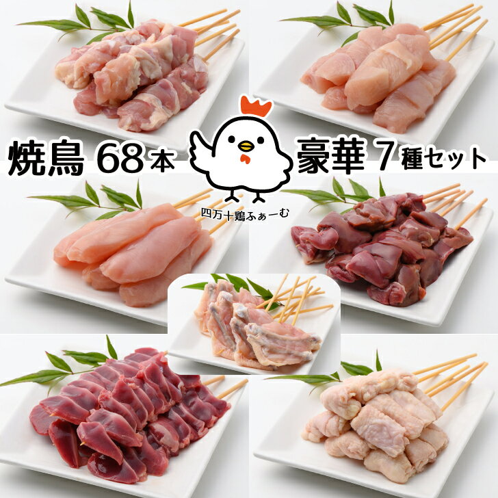 【ブランド鶏 四万十鶏】焼鳥セットA・もも・むね・ささみ・肝・砂肝・皮・手羽先豪華焼鳥7種 計68本セ..