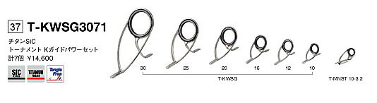 富士工業 チタンSiCガイドセット T-KWSG2571投げセット