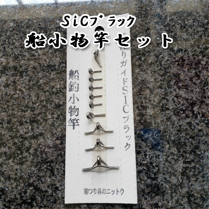 Υ˥åȥ ꥬ SiC֥å ྮʪȥå