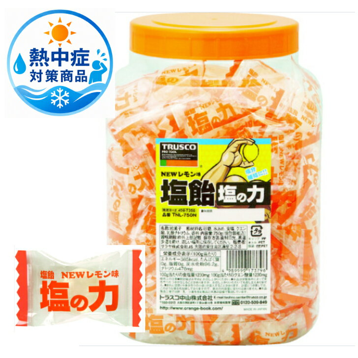 TRUSCO塩飴塩の力750gレモ...