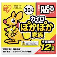 アイリスオーヤマ ぽかぽか家族 貼る レギュラー 30個