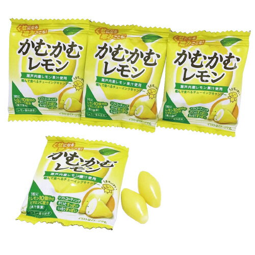 三菱食品　421804 かむかむレモン　4g×50袋入