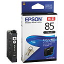 EPSON IJJ[gbWICBK85ubN