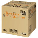 ライオン キレイキレイ泡ハンドソープ10L フルーツ(4)
