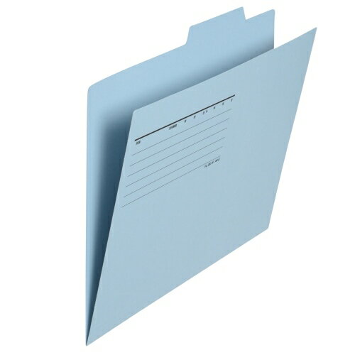 プラス 個別フォルダー　FL-081IF　A4E　Rブルー10枚