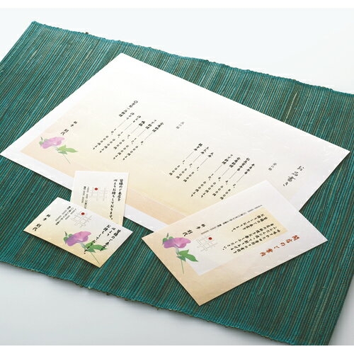 コクヨ カラーレーザー＆IJP用紙 和紙 薄口片面印刷用 A4 50枚入 KPC‐W1110