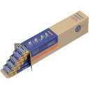 Panasonic アルカリ乾電池EVOLTA業務用パック 単3形 100本入 LR6EJN/100S(2)