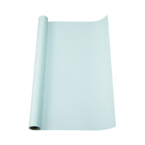 ゴークラ ジャンボロール画用紙 うすみずいろ 幅900mm×長さ10m巻 GKJR110