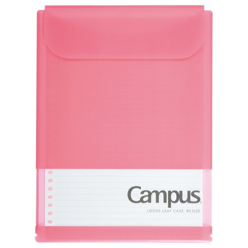 コクヨ 仕分けができるルーズリーフケース A罫 B5 26穴 リーズリーフ30枚付き ノ‐CP836AT‐P