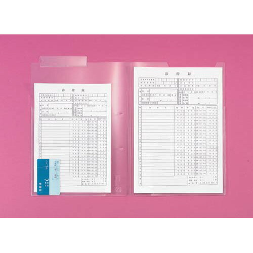 リヒトラブ カルテフォルダー A4 ダブルポケット 200枚入 HK7712ミ グリーン購入法適応