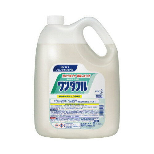 花王 ワンダフル 業務用 4.5L 051752 ★10個パック