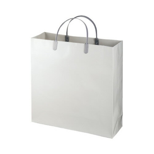 エヒメ紙工 ラミネートバッグ 小 グレー 10枚 W325×H315×D100mm LBS-G ★10個パック