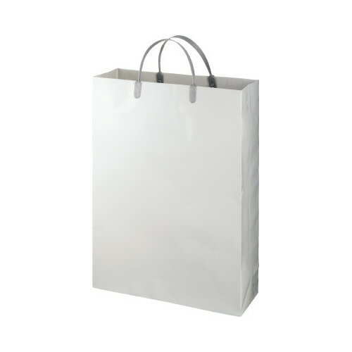 エヒメ紙工 ラミネートバッグ 大 グレー10枚 W330×H440×D110mm LBL-G ★10個パック