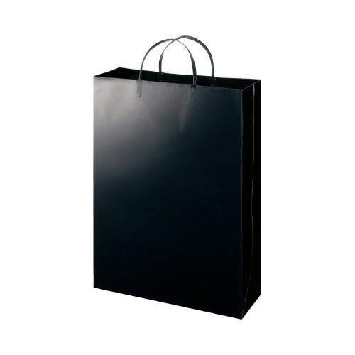 ҥ湩 ߥ͡ȥХå  ֥å 10 W330H440D110mm LBL-BL