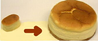半生チーズケーキがでっかくなっちゃいました！【4/7～4/30の期間限定にてお届けです】半生ジャ...