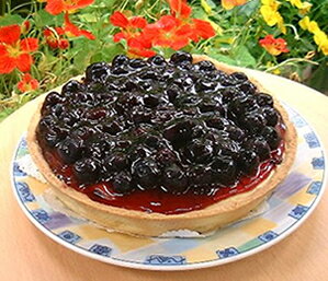 たっぷりのブルーベリーで作った当店自慢のチーズケーキです♪ブルーベリーチーズタルト