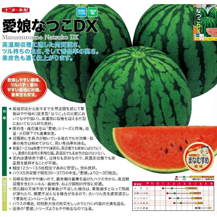 商品情報【種子ご購入時の注意点と納期について】■納期について　即納か新タネ整い次第のお届けかの判断の為、播種予定月についてセレクトボックスより選択をお願い致します。種子は春まき秋まき品種があることからお客様の播種予定により現行種子或いは新タネ切り替え後のお届けの判断をさせていただきます。■送料について商品には荷造運賃を含む総額或いは送料無料でのお届けとなります。（発送方法は当店指定の発送方法となりますので予めご了承くださいませ）　　■発送方法軽量種子は全て日本郵便（ポスト投函）での発送を基本とします。ただし、軽量種子高額商品は当店並びに、メーカーの判断にて自動車便発送とさせていただきます。■商品は当店若しくは、メーカーからの発送となります。■代引決済に関するご注意代引き決済は取り扱いをしておりません■春種及び秋種切り替え時期のご購入の場合は納期についてご相談をさせていただく場合ございます。※播種時期により新タネ或いは、現行種子でのお届けの判断をさせていただきますのでご注文時の播種予定月の選択をお願い致します。〇9月以降のご注文はご指定がない限り新タネ入庫をもってのお届けとさせていただきますが播種のご都合で即納ご希望にも対応が可能です。その際は大変お手数ではございますが「即納希望」としてご返信のほどお願いいたします。〇新タネの入庫は例年11月後半より品目により順次入庫しておりますが、トウモロコシ・枝豆・大豆類は2月から3月となり、遅延の場合もございます。納入が播種の都合上間に合わないと思われる場合は品種の変更などのご提案もさせていただきますのでご了承くださいませ。※新タネにおいてはメーカーにおいてご注文時と規格容量が変更となる場合もございますので予めご了承ください。〇馬鈴薯種子は品種により入庫時期が異なりますので御注文の最終入庫品種をもって2月中のお届けとなります。〇生姜、里芋、長芋、こんにゃく芋などのナマモノ種子は3/下旬から4月の入庫をもってのお届けとなります。※作柄が悪く出荷按分や出荷不可となる場合も十分考えられるのでその際は順次ご連絡をさせていただきたく存じます。〇春まき用緑肥関係は整い次第2月下旬以降、順次入庫を予定しております。【小玉スイカ種子】ナント交配　「愛娘なつこDX」　（まなむすめなつこ） 高温期の収穫に適した肉質の硬さ、ツルもちの良さ、秀品率の高さ！果皮色も濃く仕上がります！ 5