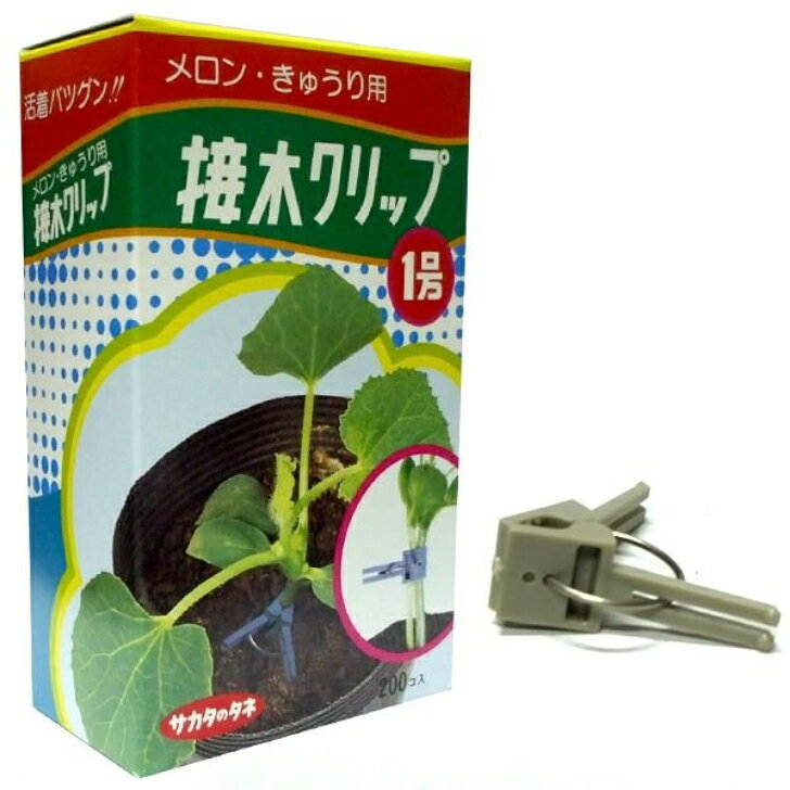 商品情報■接木クリップの特長1号：メロン・キュウリ用2号：ナス・トマト用●接木操作が間単に行え、労力を大幅に省力化できます。●何回でも使用できます。【種子ご購入時の注意点と納期について】■送料について商品には荷造運賃を含む総額或いは送料無料でのお届けとなります。（発送方法は当店指定の発送方法となりますので予めご了承くださいませ）　　■発送方法軽量物は定形外日本郵便（ポスト投函）での発送を基本とします。高額商品は当店並びに、メーカーの判断にて自動車便発送とさせていただきます。■代引決済に関するご注意代引き決済は取り扱いをしておりません【生産資材】サカタのタネ　接木クリップ1号/2号　（つぎきくりっぷ） ウリ類の合せ接木用ホルダー！切断面合わせがガイドで簡単接木！ 5
