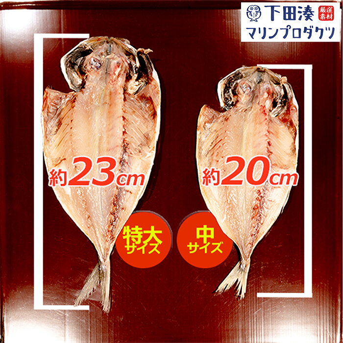 【干物 とろあじ 手開き】とろあじ干物　真あじ干物 干物　国内加工 冷凍 魚介 おかず ご飯のお供 添加物不使用 簡単調理 ギフトにも最適 特大12枚 shimoda-minato-10000003 下田湊マリンプロダクツ楽天市場店 サンプル画像2