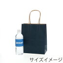 HEIKO 紙袋 手提げ紙袋 25チャームバッグ 21-12 未晒 紺C 幅210×マチ120×高250mm 50枚入 業務用 ラッピング シモジマコード003266301