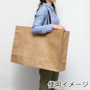 HEIKO 紙袋 手提げ紙袋 ファッションバッグ LLワイド 未晒無地 幅600×マチ180×高420mm 10枚入 ブラウン 業務用 ラッピング シモジマコー...