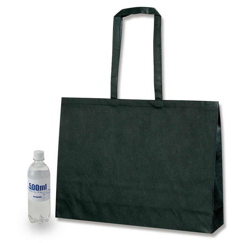 (まとめ) ネイチャーラボ ラボン シャレボンオシャレ着用洗剤 シャイニームーン 本体 500ml 1本 【×20セット】