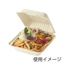 弁当箱 使い捨て 食品容器 20枚入 エコバンブー フードパック BFD-20シモジマ HEIKO