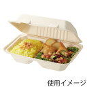 弁当箱 使い捨て 食品容器 20枚入 エコバンブー フードパック 2仕切り BFD2ー23シモジマ HEIKO