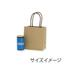 HEIKO 紙袋 手提げ紙袋 スムース 15-08 ライナー無地 幅150×マチ80×高165mm 10枚入 ブラウン 業務用 ラッピング シモジマコード003...