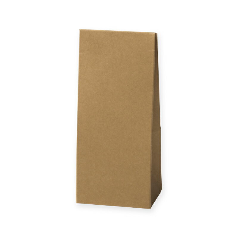 【楽天スーパーセール限定特価】ギフト ボックス バッグ型 10枚 クラフトギフトボックス 角底S