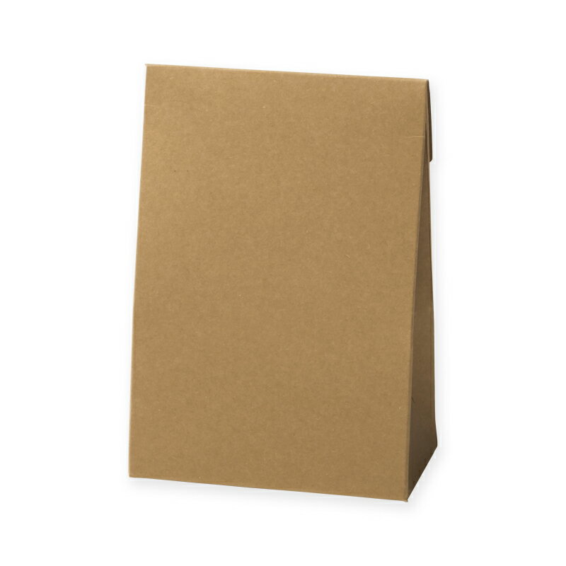 【楽天スーパーセール限定特価】ギフト ボックス バッグ型 10枚 クラフトギフトボックス 角底M