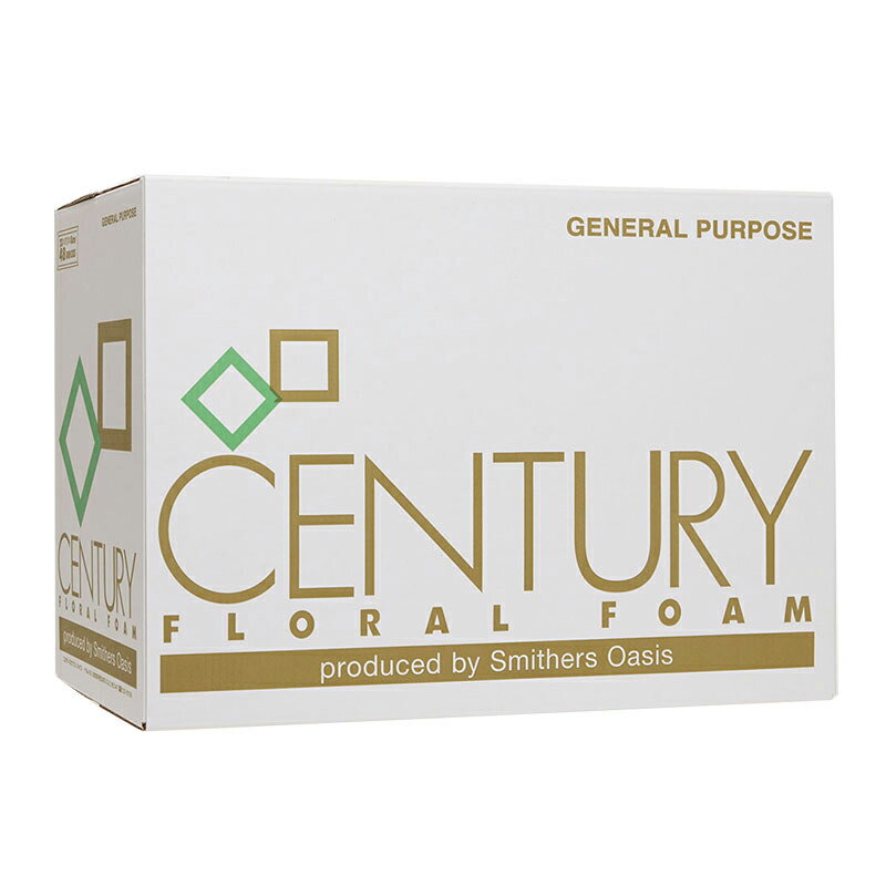 【楽天スーパーセール限定特価】オアシス フローラルフォーム センチュリー 吸水穴なし 1箱(48個入)